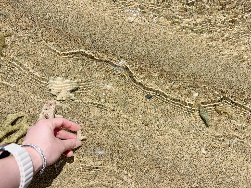 徳之島の海は透明